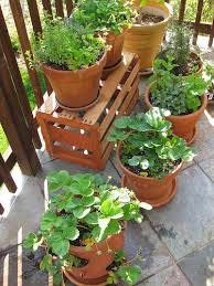 container_gardens